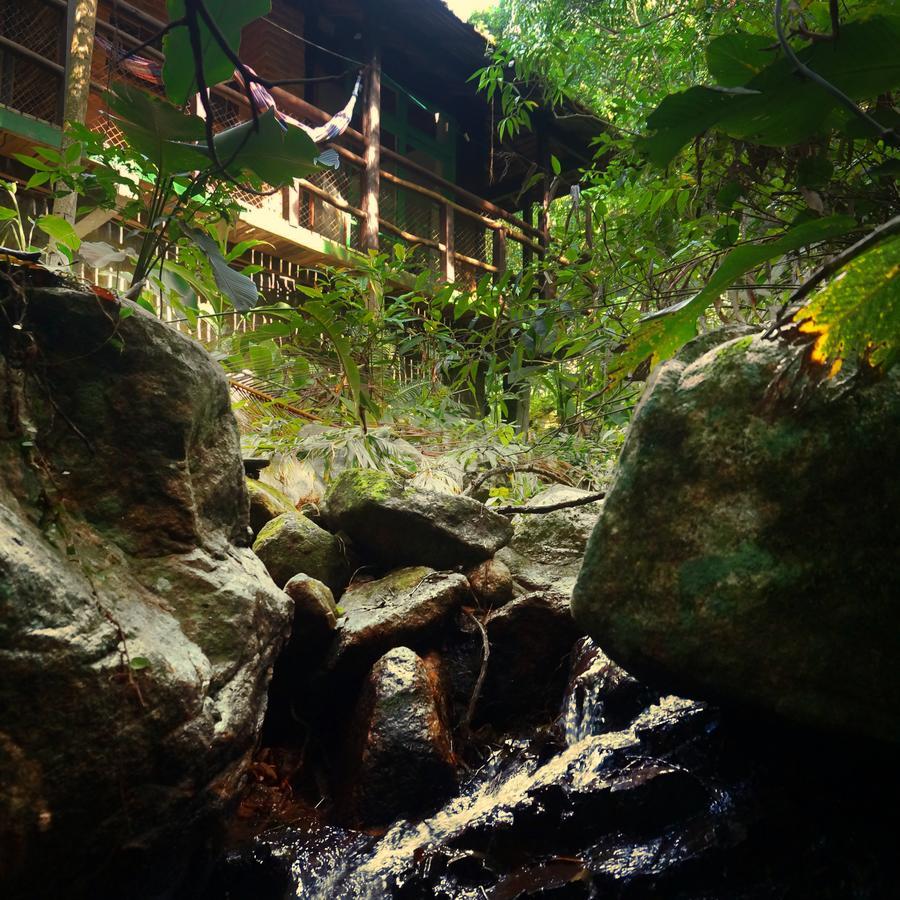 Pousada Sitio Dos Tucanos Florianópolis Exteriör bild