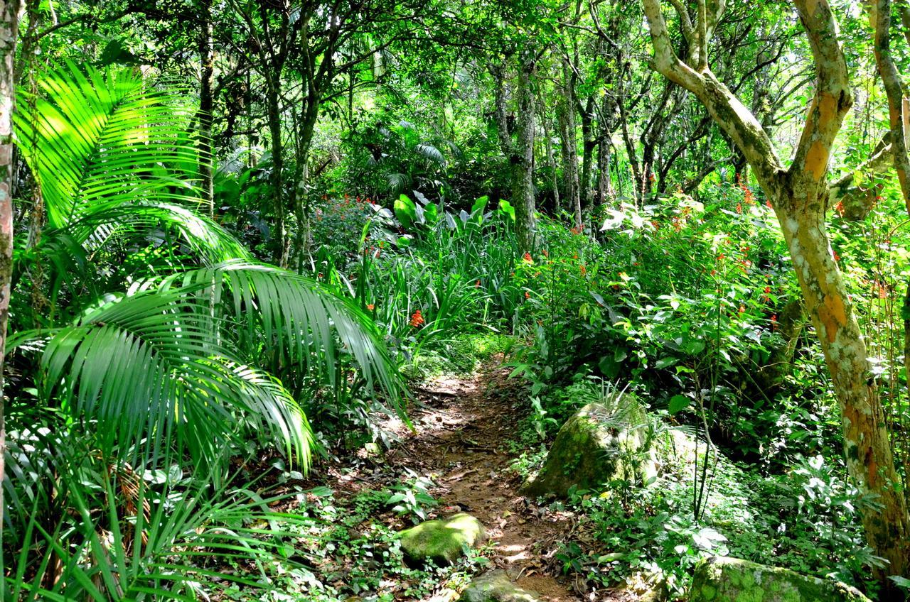 Pousada Sitio Dos Tucanos Florianópolis Exteriör bild